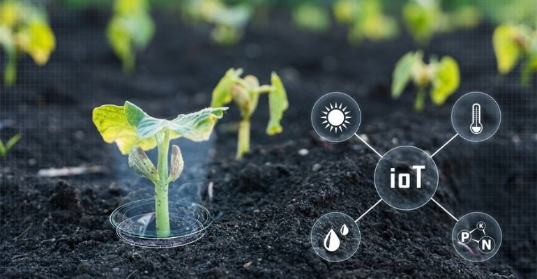 IoT